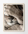 Wall Art Print - Leo Print